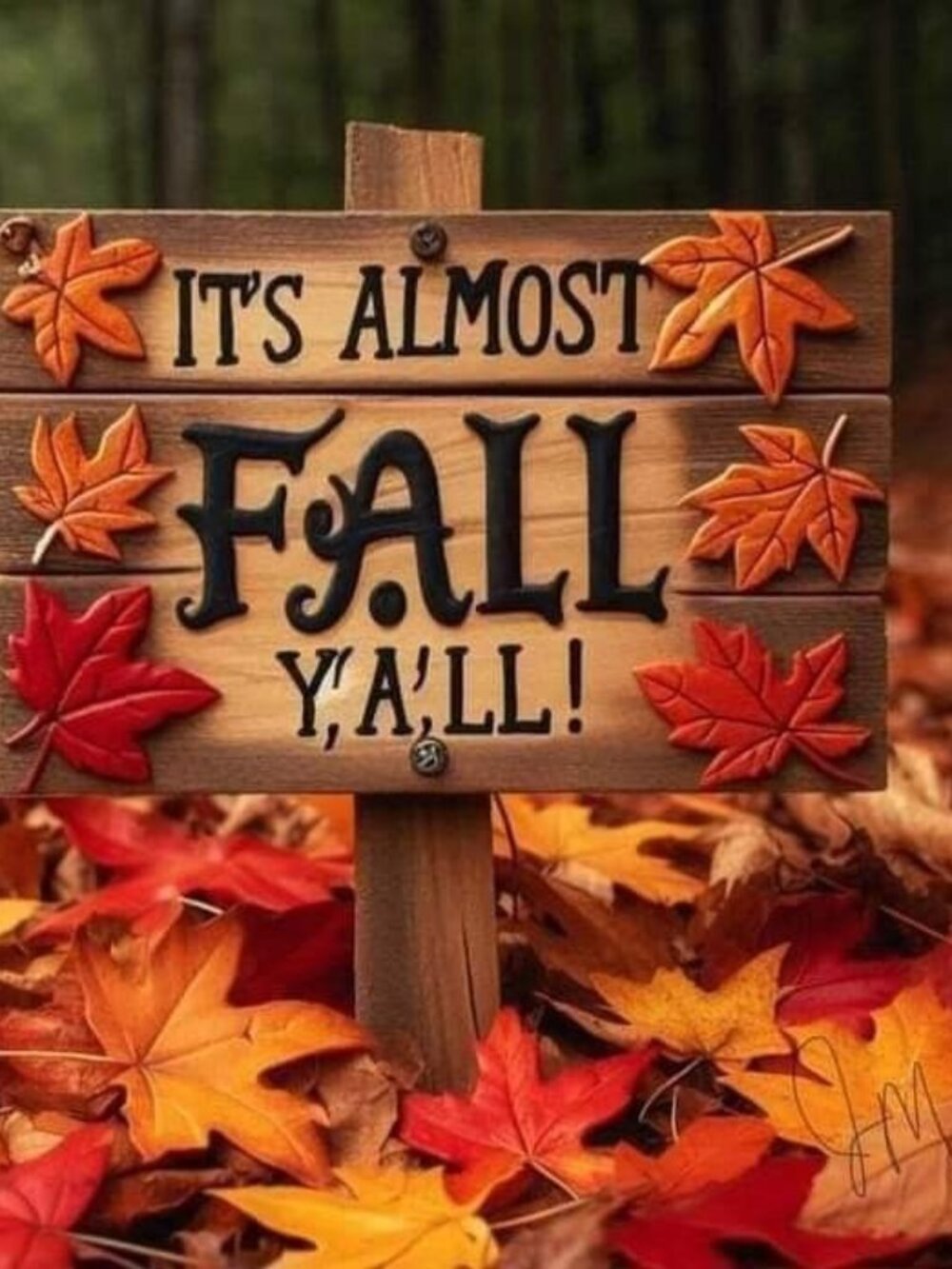 Ready for sweater weather??